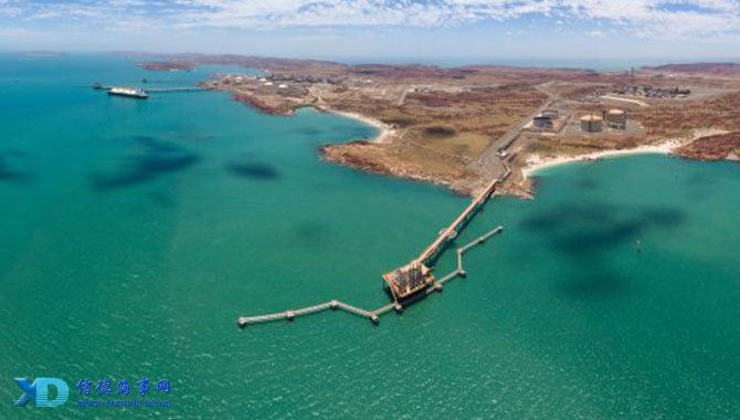 安东尼奥：王钰栋身体和精神都很疲劳，我们决定让他休息